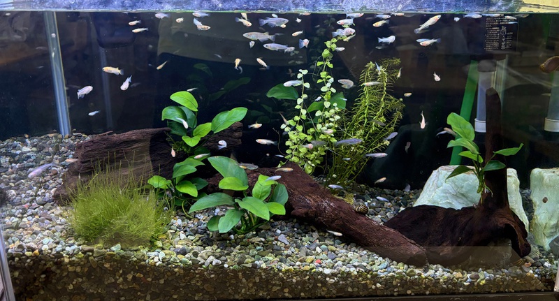 デイケア便り　令和7年11月号